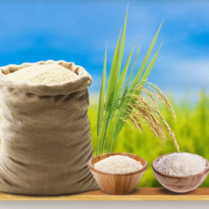 IR64 Parboiled Rice