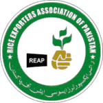 images-removebg-preview (1)