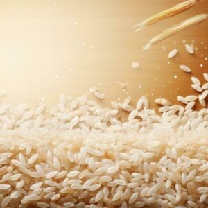 1509 Basmati Rice Exporters in Pakistan